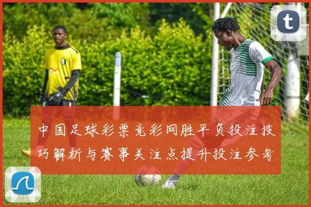 中国足球彩票竞彩网胜平负投注技巧解析与赛事关注点提升投注参考